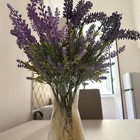 Διαμέρισμα La Casa Di Linda