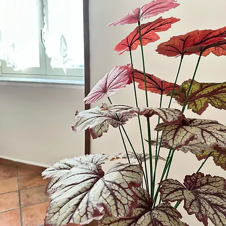 La Casa Di Linda Daire